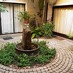 Wander through our serene gardens